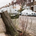 Which trees can be cut down without permission uk?