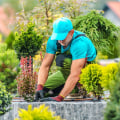 Transform Your Portland Landscape with Expert Tree Felling and Garden Plants