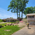 The Hidden Challenges of Removing Large Trees Near Residential Driveways and Walkways