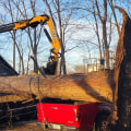 Expert Tree Felling and Health Evaluation in Cabins, WV