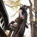 Tree Felling: How Tree Maintenance Services Can Transform Your Leesburg Property