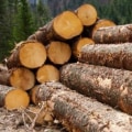 What does logging mean?