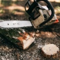 The Art Of Tree Felling: Ensuring Expert Tree Removal Service In Lubbock, TX