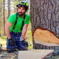 The Essential Guide To Tree Felling In Lakeway: What You Need To Know