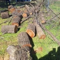 Professional Tree Felling & Pest Control in Fayetteville