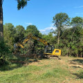 The Importance Of Tree Felling Service To Achieve Lasting Curb Appeal In Johnson City