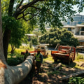 Why Tree Felling Is an Important Part of Long-Term Property Maintenance