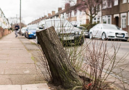 Which trees can be cut down without permission uk?