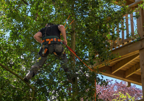 How Tree Felling Can Revitalize Your Portland Garden Landscape