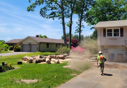 The Hidden Challenges of Removing Large Trees Near Residential Driveways and Walkways