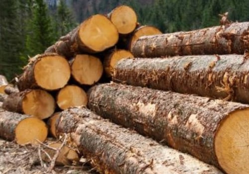 What does logging mean?