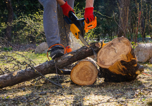How Tree Felling Supports Long-Term Landscape Health
