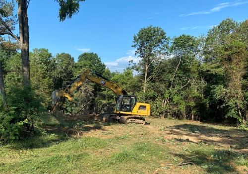 The Importance Of Tree Felling Service To Achieve Lasting Curb Appeal In Johnson City