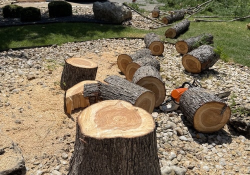 Patio First, Tree Felling Second: A Smart Order For Pflugerville Home Projects